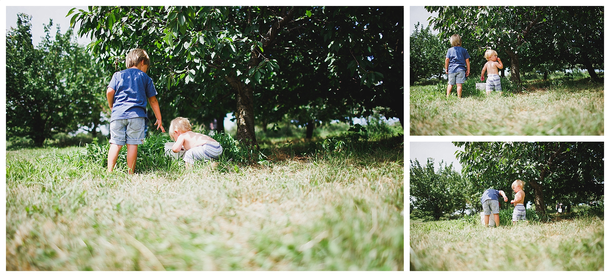 Orange County summer photography Orange County summer photography